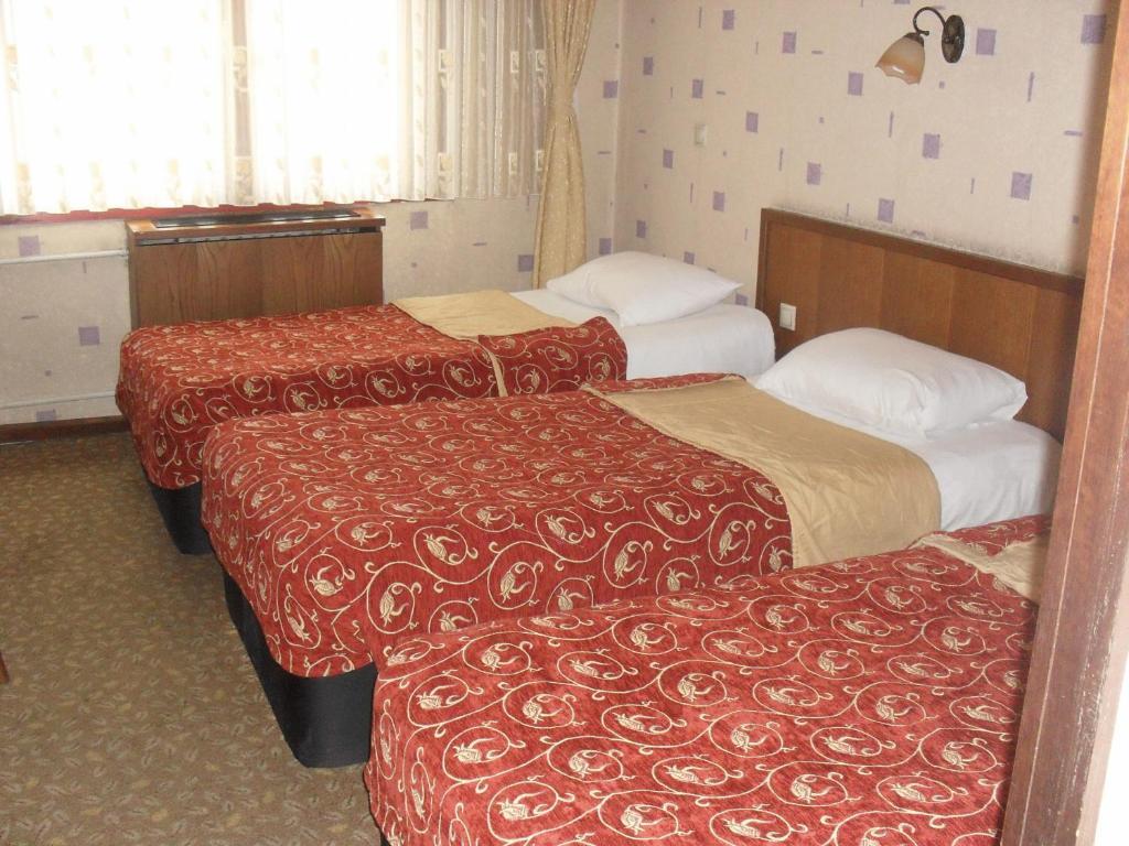 Dilaver Hotel Erzurum Rum bild
